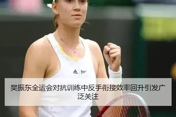 樊振东全运会对抗训练中反手衔接效率回升引发广泛关注